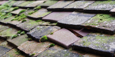 Great Bowden roof repair costs
